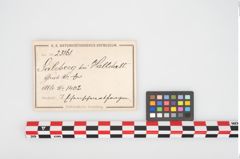 Etikett zu Eisenschwertklinge (NHMW-PRAE-025161)